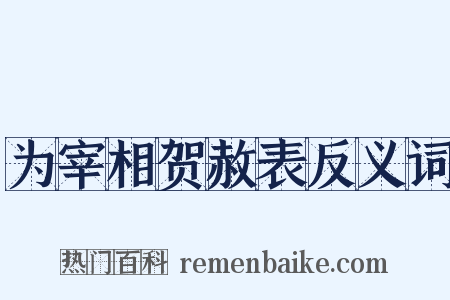 为宰相贺赦表反义词是什么意思的图片